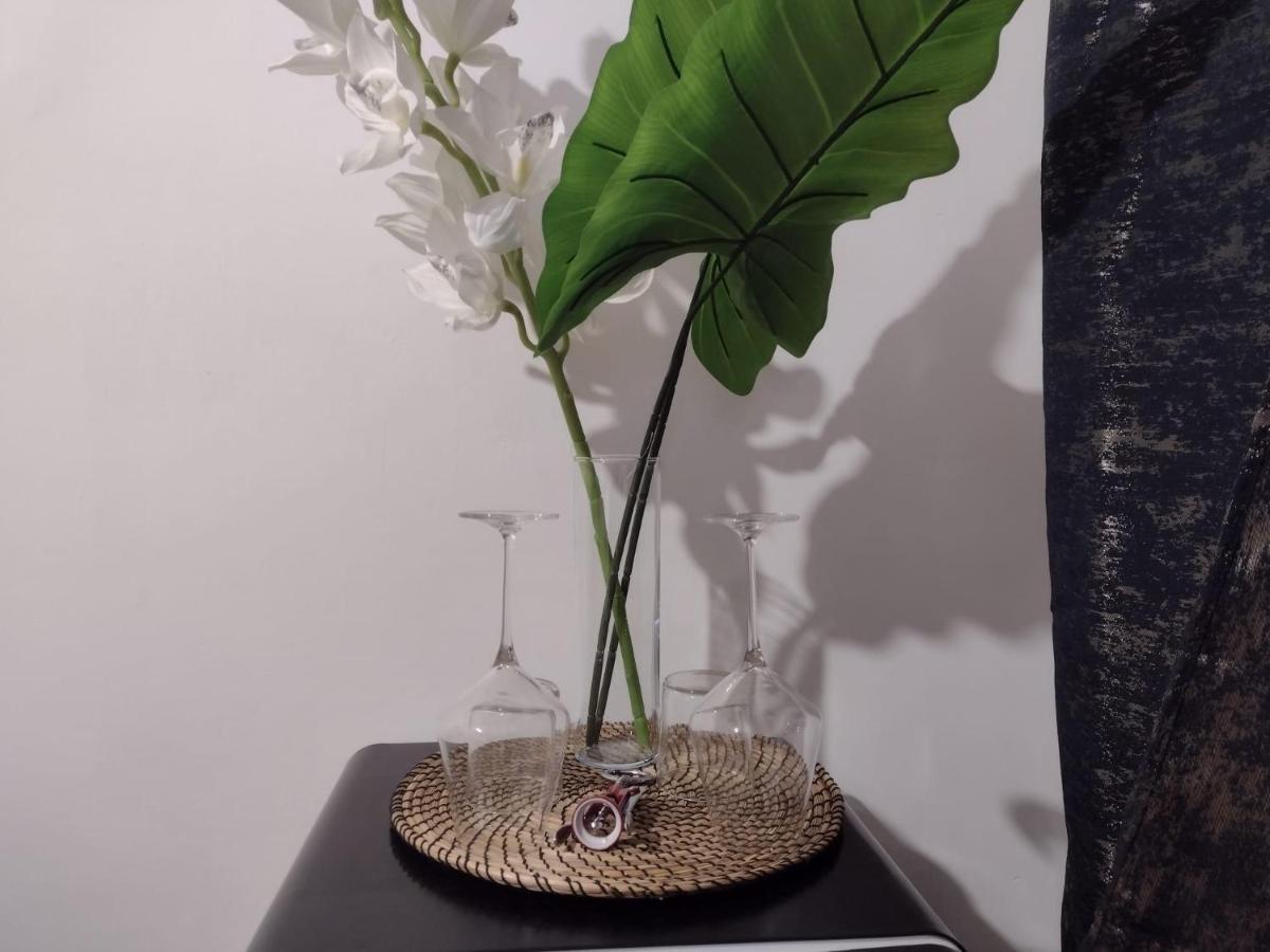 Vatican Luxury Apartment ローマ エクステリア 写真